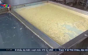 Làm rõ nhà máy xả thải gây ô nhiễm ở Phú Thọ