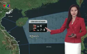 Bản tin thời tiết 9h10 - 17/12/2025