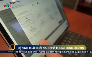 Hệ sinh thái khởi nghiệp ở thung lũng Silicon