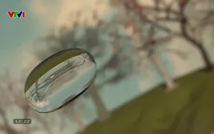 Bản tin thời tiết 12h30 - 19/12/2025