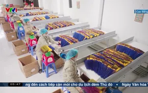 OCOP giúp đưa sản vật địa phương đi xa