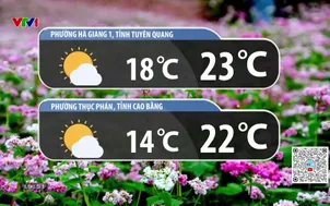 Bản tin thời tiết 19h45 - 19/12/2025