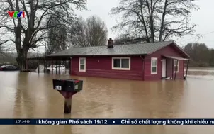 Bão mùa đông gây nhiều thiệt hại tại Mỹ