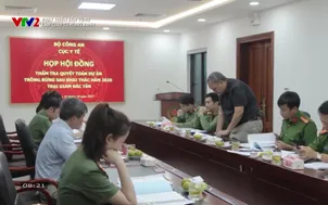 Phát triển bền vững: Làm giàu từ rừng xanh