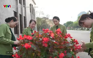 Học và làm theo Bác: Bông cúc trong vườn hoa quyết thắng