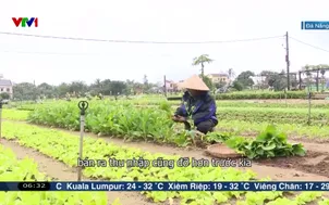 Ngày mới tại vườn rau Trà Quế