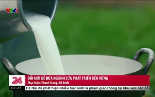 Đổi mới để đưa ngành sữa phát triển bền vững