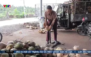 Những đôi tay bền bỉ