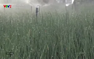 Bạn của nhà nông: Số 74