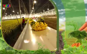 Bạn nhà nông: Số 8