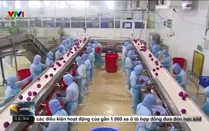 Rau quả Việt Nam sang Trung Quốc vượt đỉnh 2024