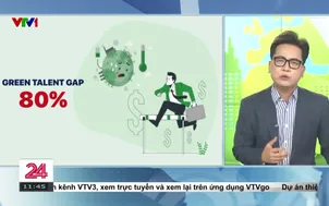 Net Zero: Ai sẽ làm việc trong nền kinh tế xanh?