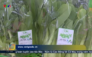 Người tiêu dùng tự truy xuất nguồn gốc sản phẩm