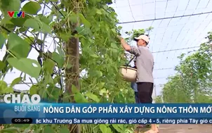Nông dân góp phần xây dựng nông thôn mới