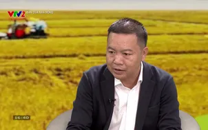 Bạn của nhà nông: Số 74B