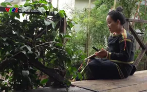 Phim tài liệu: Tiếng vọng những trái tim