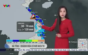 Bản tin thời tiết 19h45 - 24/12/2025