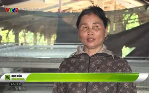 Bạn của nhà nông: Số 74C