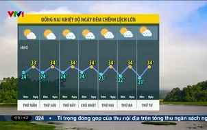 Bản tin thời tiết 5h30 - 25/12/2025