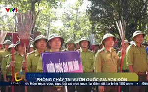 Phòng cháy tại vườn quốc gia Yok Đôn