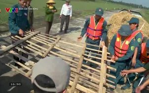 Bạn của nhà nông: Số 74A