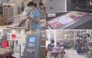 Phát triển bền vững: Chuyển dịch năng lượng xanh