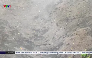 Quảng Ngãi xử lý sự cố tràn dầu Diesel