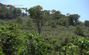 	Bạn của nhà nông: 	KHCN Số 10