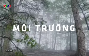 Môi trường và cuộc sống:	Ứng dụng công nghệ, cải thiện không khí