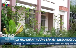 Cà Mau khản trương sắp xếp tài sản dôi dư