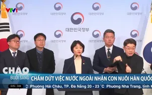 Chấm dứt việc nước ngoài nhận con nuôi Hàn Quốc