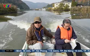 Nghề nuôi trai lấy ngọc tại Nhật Bản