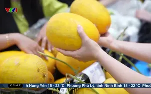 Trái cây chuẩn bị vào vụ Tết