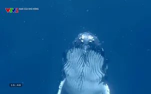 Bạn của nhà nông: BCNN-KN - Số 1