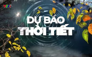 Bản tin thời tiết 9h10 - 29/12/2025