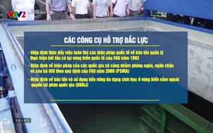 Bạn của nhà nông - 29/12/2025