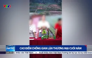 Cao điểm chống gian lận thương mại cuối năm