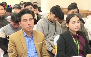 Chất Việt: Năng lượng xanh