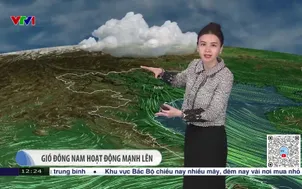 Bản tin thời tiết 12h30 - 30/12/2025