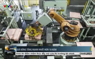 Gia đồng tăng mạnh nhất trong hơn 10 năm