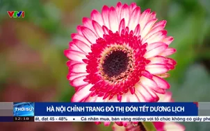 Hà Nội chỉnh trang đô thị đón Tết dương lịch