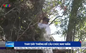 Thay dây thiêng để cầu chúc may mắn