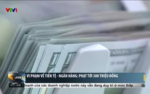 Vi phạm về tiền tệ - ngân hàng phạt tới 300 triệu đồng 