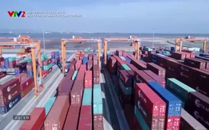 Môi trường và cuộc sống: Đầu tư và Tài chính cho tăng trưởng