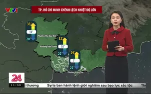 Bản tin thời tiết 11h30 - 31/12/2025