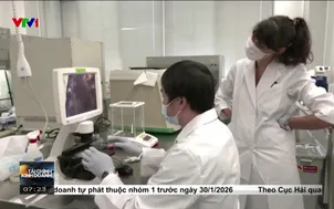 Rủi ro thị trường thực phẩm nhân tạo