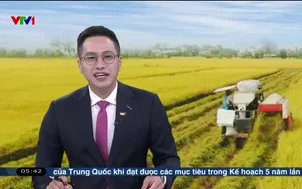 Buổi sáng đầu tiên tại vùng biên Quảng Trị