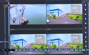 Chuyển đổi xanh hướng tới tương lai xanh