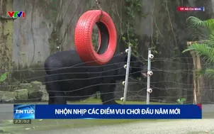 Nhộn nhịp các điểm vui chơi đầu năm mới