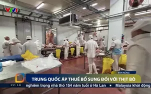 Trung Quốc áp thuế bổ sung đối với thịt bò